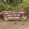 #diversãofelicidade #aventuranasférias #educadorasfelizes #escolanalinha #amorpuro